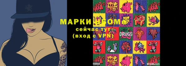 прущий лед Новозыбков