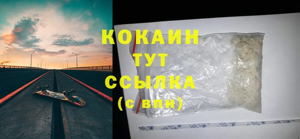 Альфа ПВП Няндома
