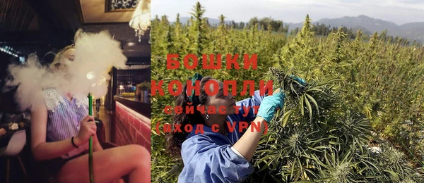 Альфа ПВП Няндома