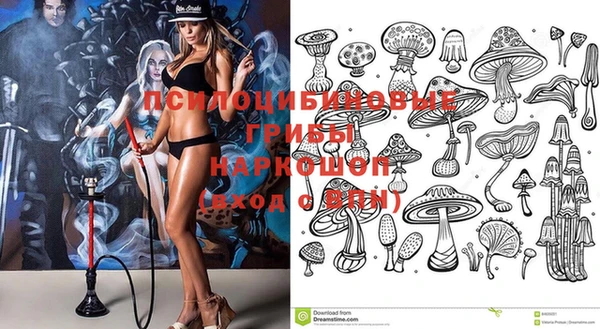 дживик Новокубанск