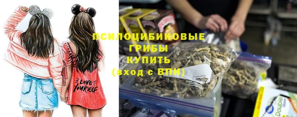 Альфа ПВП Няндома